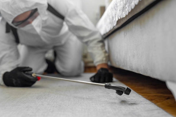 Professional Bed Bug Control technician working in Ellenville, NY