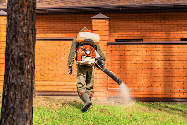 Trusted Bed Bug Control service in Ellenville, NY - Nex Pest Control
